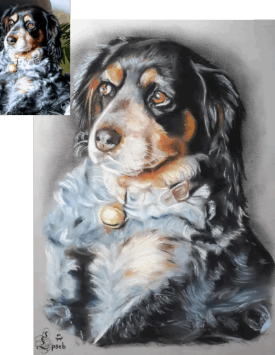 Portrait pastels couleurs dessinateur portraitiste portrait d'après photo