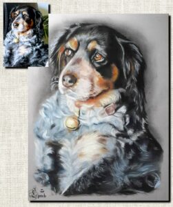 Portraits pastel couleur, réalisé à la main par Sébastien Huchet Maignan Portrait d'après photo, Portrait animalier, portrait de chien