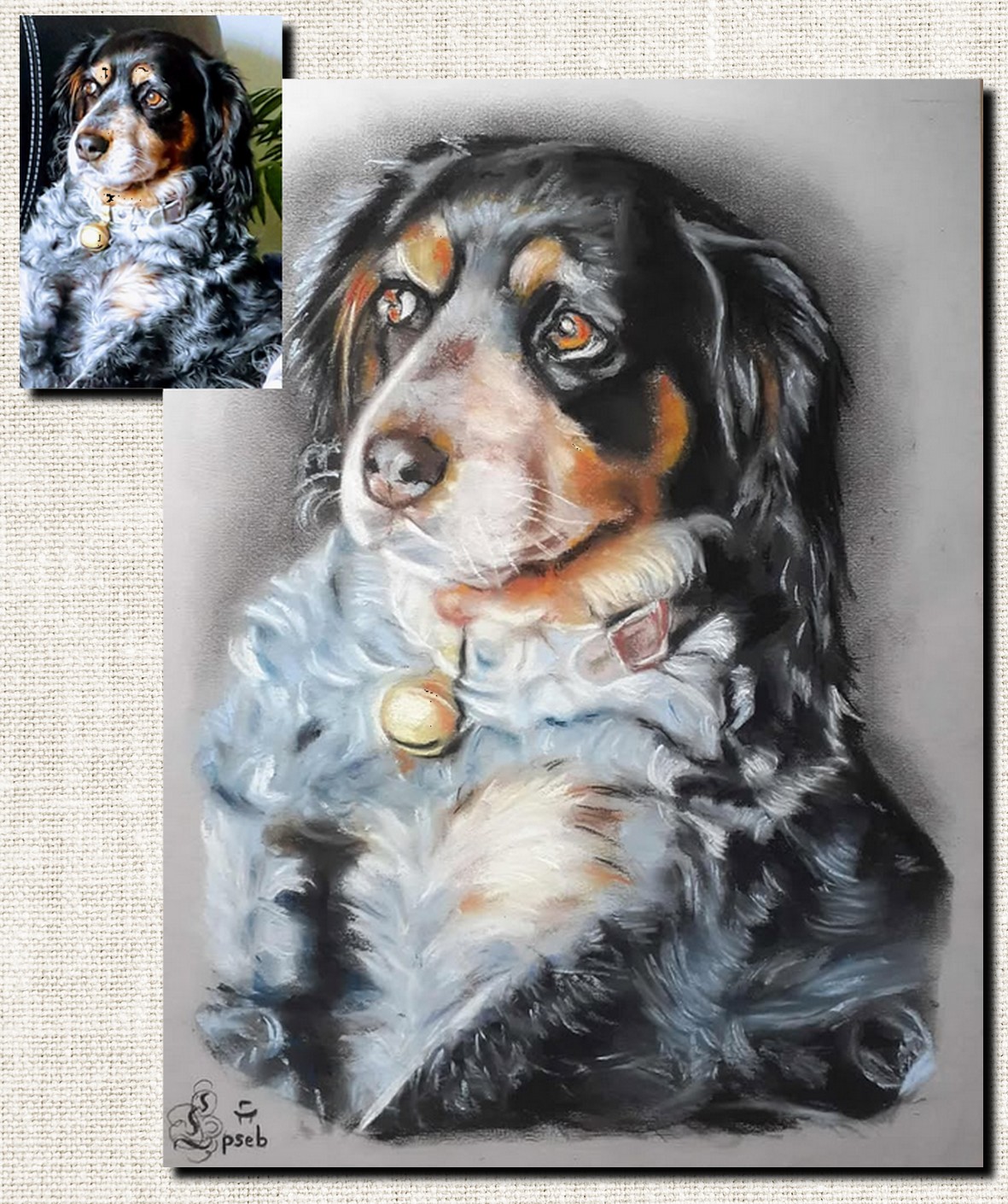 Portrait d’après photo au pastel couleur, réalisé à la main par Sébastien Huchet Maignan Portrait d'après photo, Portrait animalier, portrait de chien