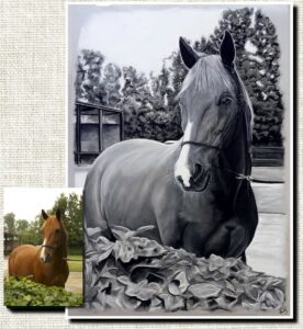 Portrait noir et blanc réalisé à la main, technique pastel sec sur papier, portrait d'après photo, dessinateur portraitiste, portrait pastel de chevaux, portrait animalier