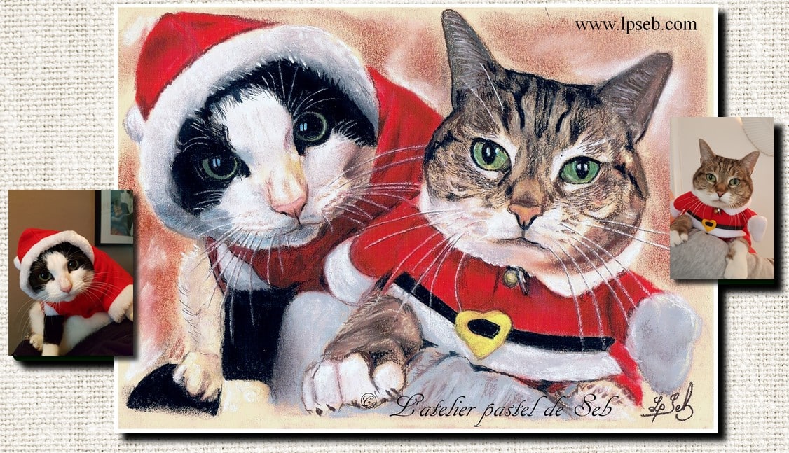 Portrait d’après photo au pastel couleur, réalisé à la main par Sébastien Huchet Maignan Portrait d'après photo, Portrait de chat, portrait animalier