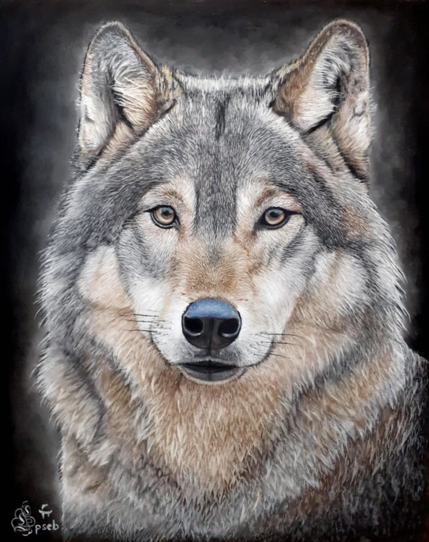 Portrait d'un loup au pastel couleur, portrait d'après photo, portrait animalier, dessinateur portraitiste